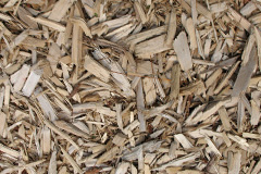 biomass boilers Udston